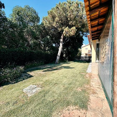 シントラ Casa Girassol With A Beautiful Private Pool And Gardenヴィラ エクステリア 写真